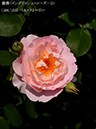 %_tempFileName108-r5922-20260513-1612%