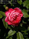 %_tempFileName109-r6011-20260513-1583%