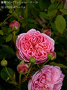 %_tempFileName114-r6085-20260513-1833%
