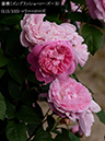 %_tempFileName115-r6630-20260513-1826%