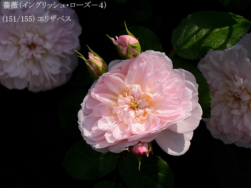 %_tempFileName151-r9457-20260513-1570%