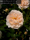 %_tempFileName131-r7577-20260513-1754%