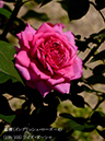 %_tempFileName139-r8236-20260513-1680%