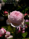 %_tempFileName152-r9471-20260513-1242%
