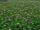 %_tempFileName002-15-20010729-0124%