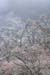 173-20060415-0015