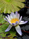 %_tempFileName042-20130127-0029%