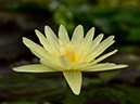 %_tempFileName060-20130407-0035%
